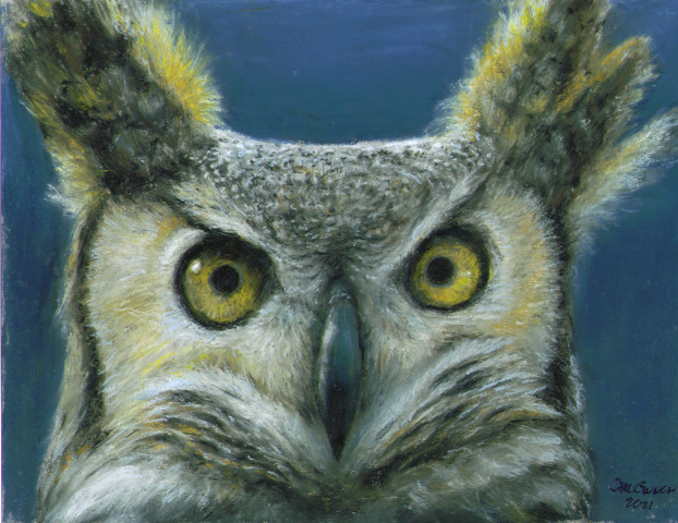 Owl in Oil Pastels
