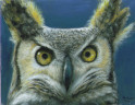 Owl Oil Pastels Test 4