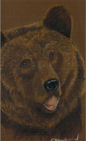Bear 2015