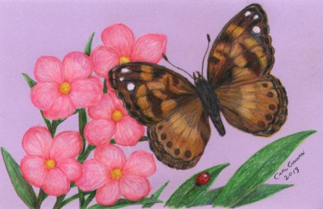 Butterfly 2013