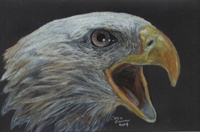 Eagle 2014