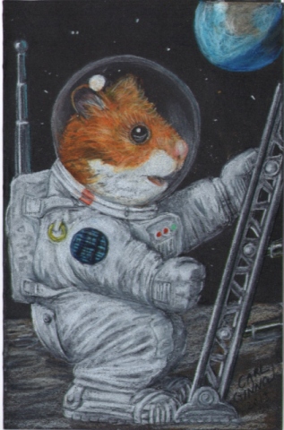 Hamster on Moon 2013