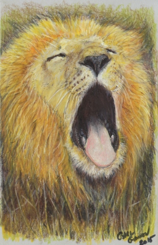 Lion 2015