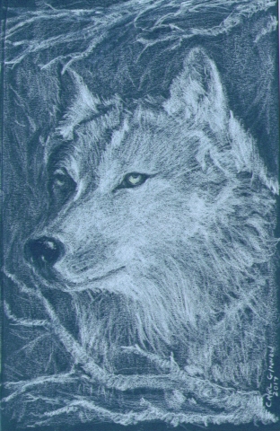 Wolf 2017