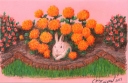 Rabbit in Flowers