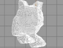 Cat mesh after converting height map.