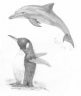 Dolphin and Penguin