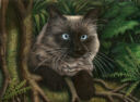 Jungle Cat (2D)