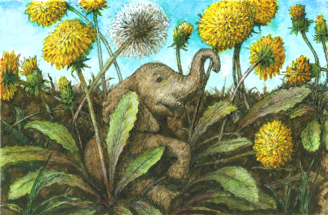 Elephant in Dandelions 2023