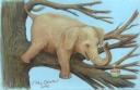 Elephant in Tree