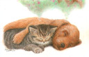 Cat and Dog Asleep